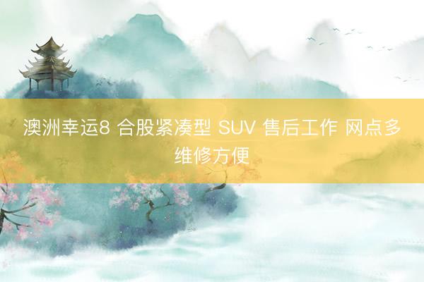 澳洲幸運8 合股緊湊型 SUV 售后工作 網點多維修方便