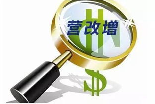 寧波保稅區(qū)眾創(chuàng)空間舉辦營(yíng)改增后類金融企業(yè)稅收政策專場(chǎng)研討會(huì)，助力企業(yè)管理優(yōu)化